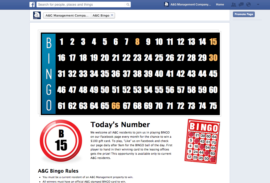 Custom Bingo Facebook App